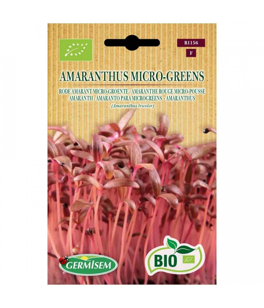 Amaranto para Micro Vegetais