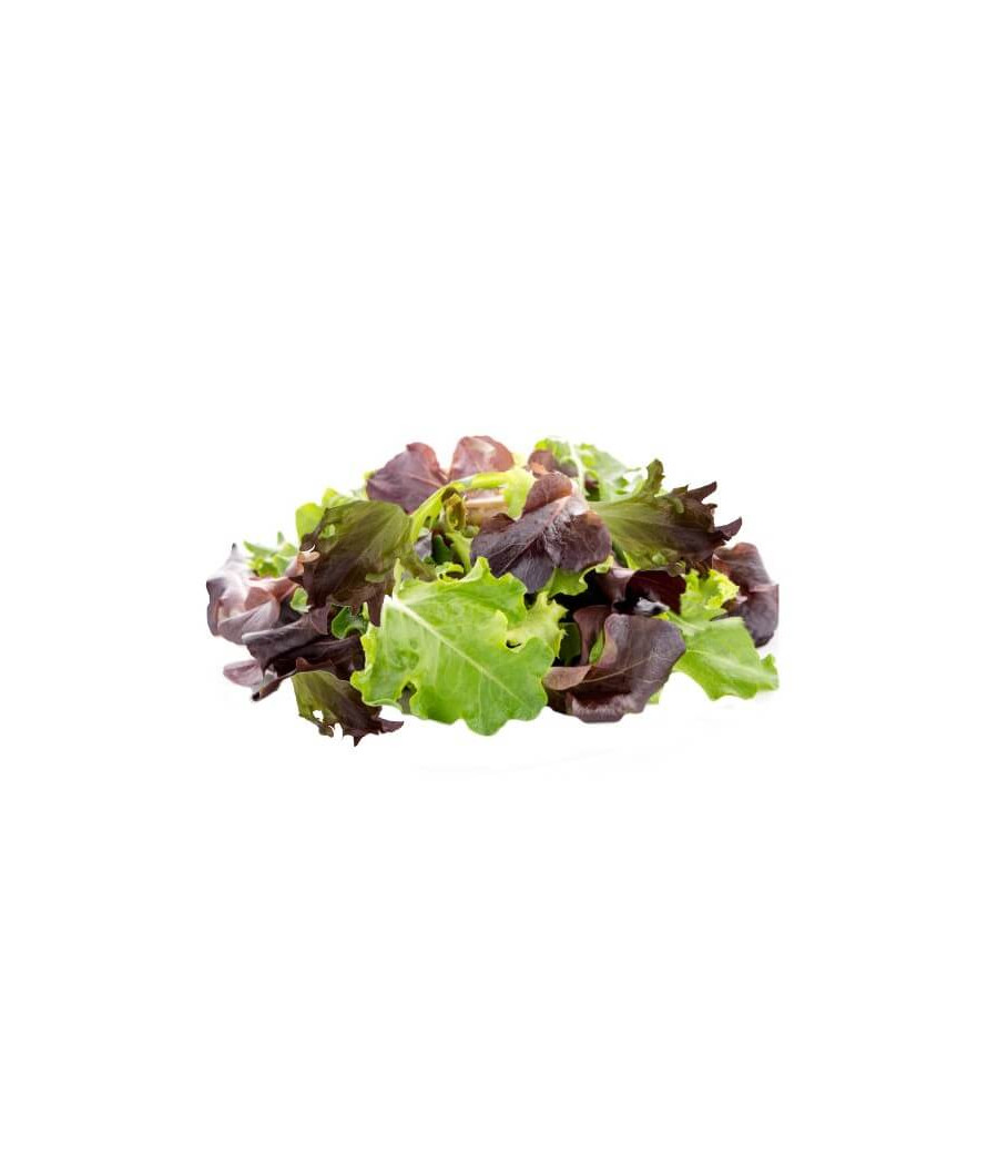 Alface Mistura Baby Leaf