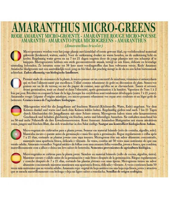 Amaranto para Micro Vegetais