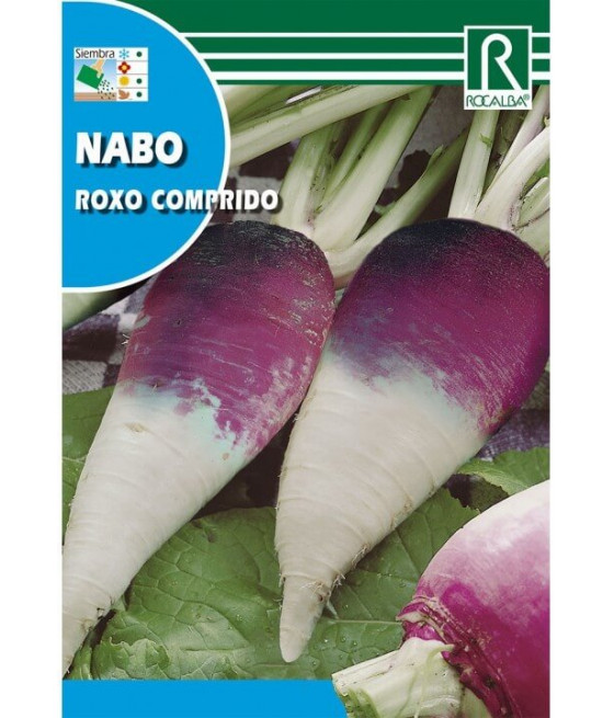 Nabo Roxo Comprido
