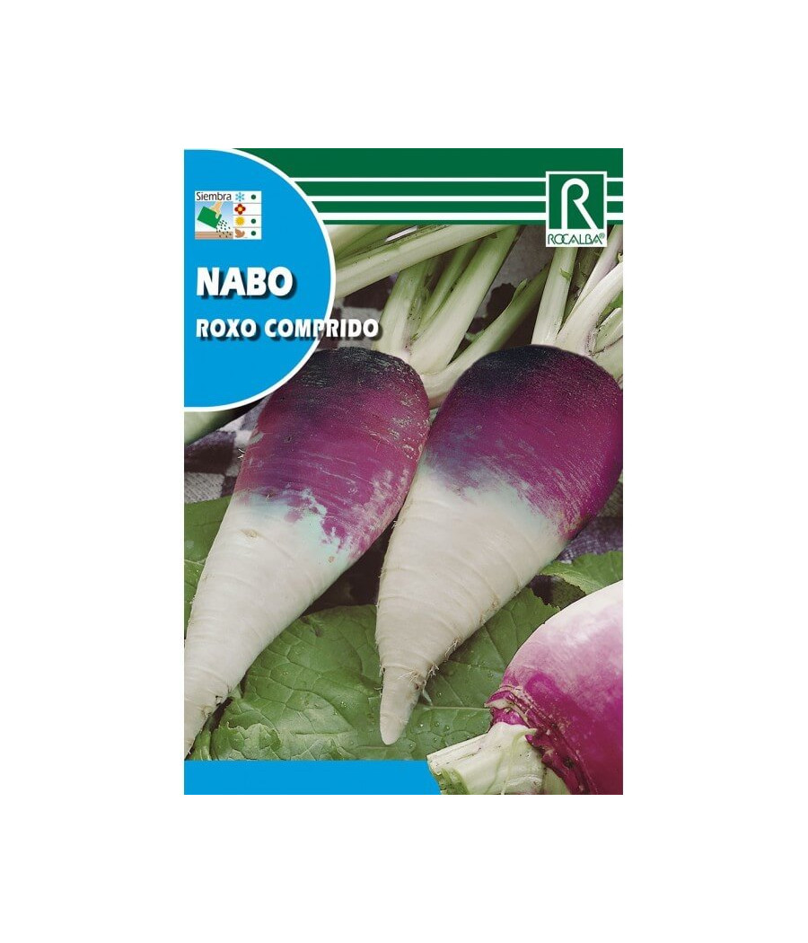 Nabo Roxo Comprido