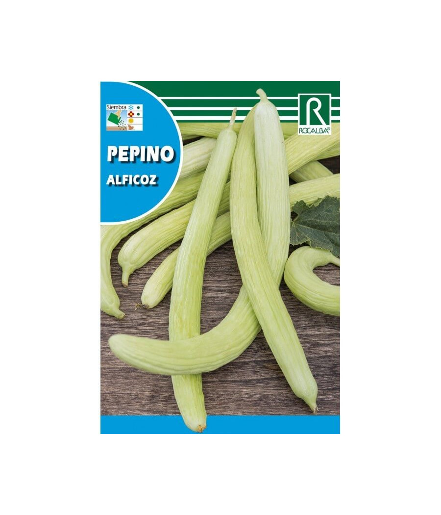 Pepino Alficoz