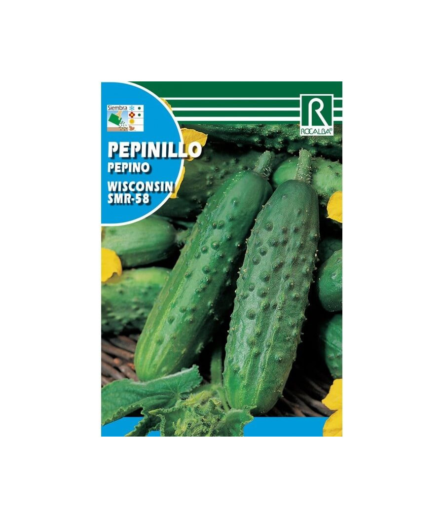 Pepino Wisconsin SMR 58