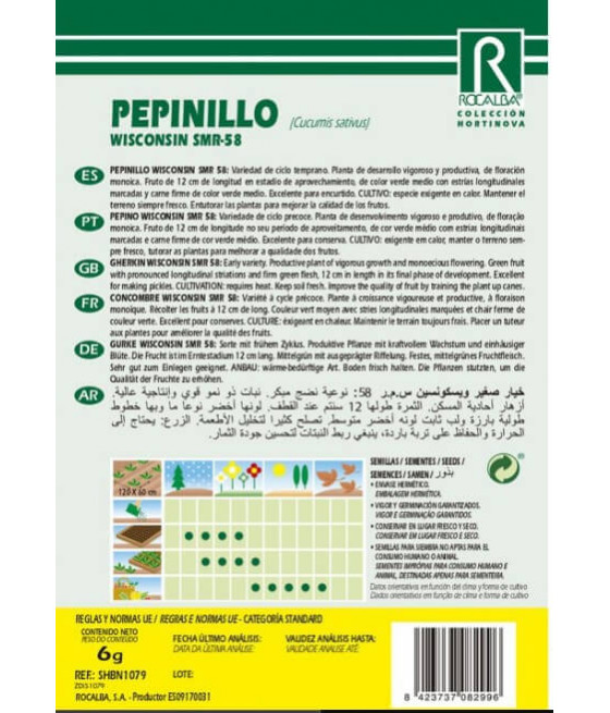 Pepino Wisconsin SMR 58