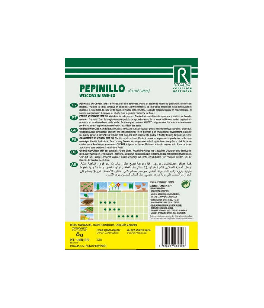 Pepino Wisconsin SMR 58