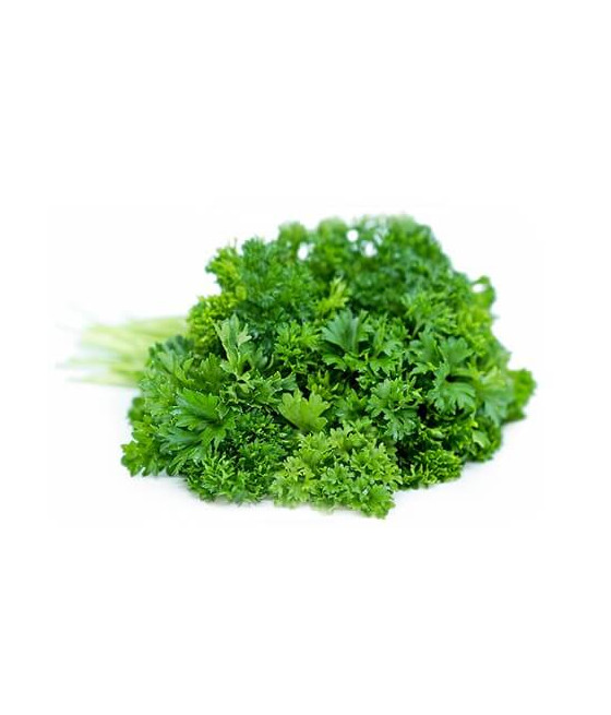 Salsa de Folha Frisada