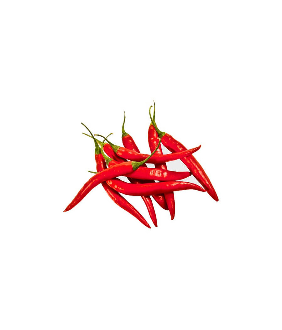 Pimenta Cayenna Vermelha