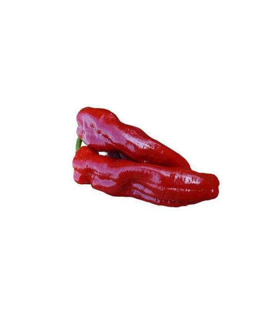 Sementes de Pimento Cristal