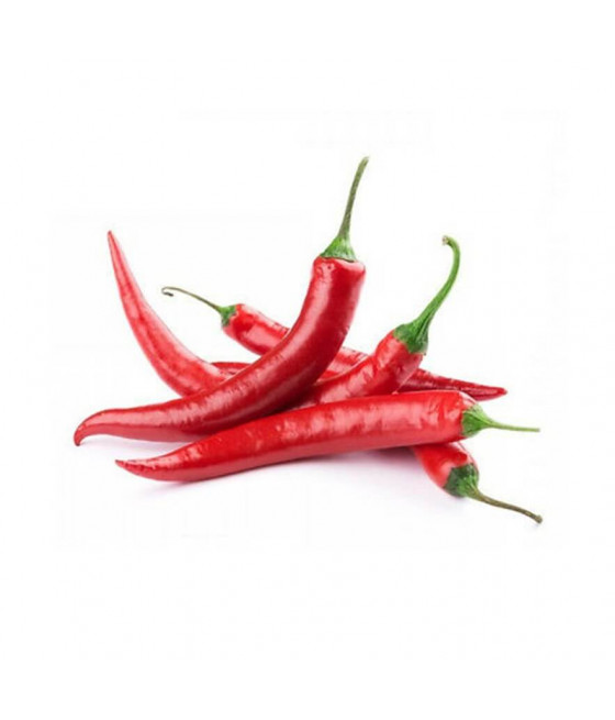 Pimenta Guindilla Larga Vermelha