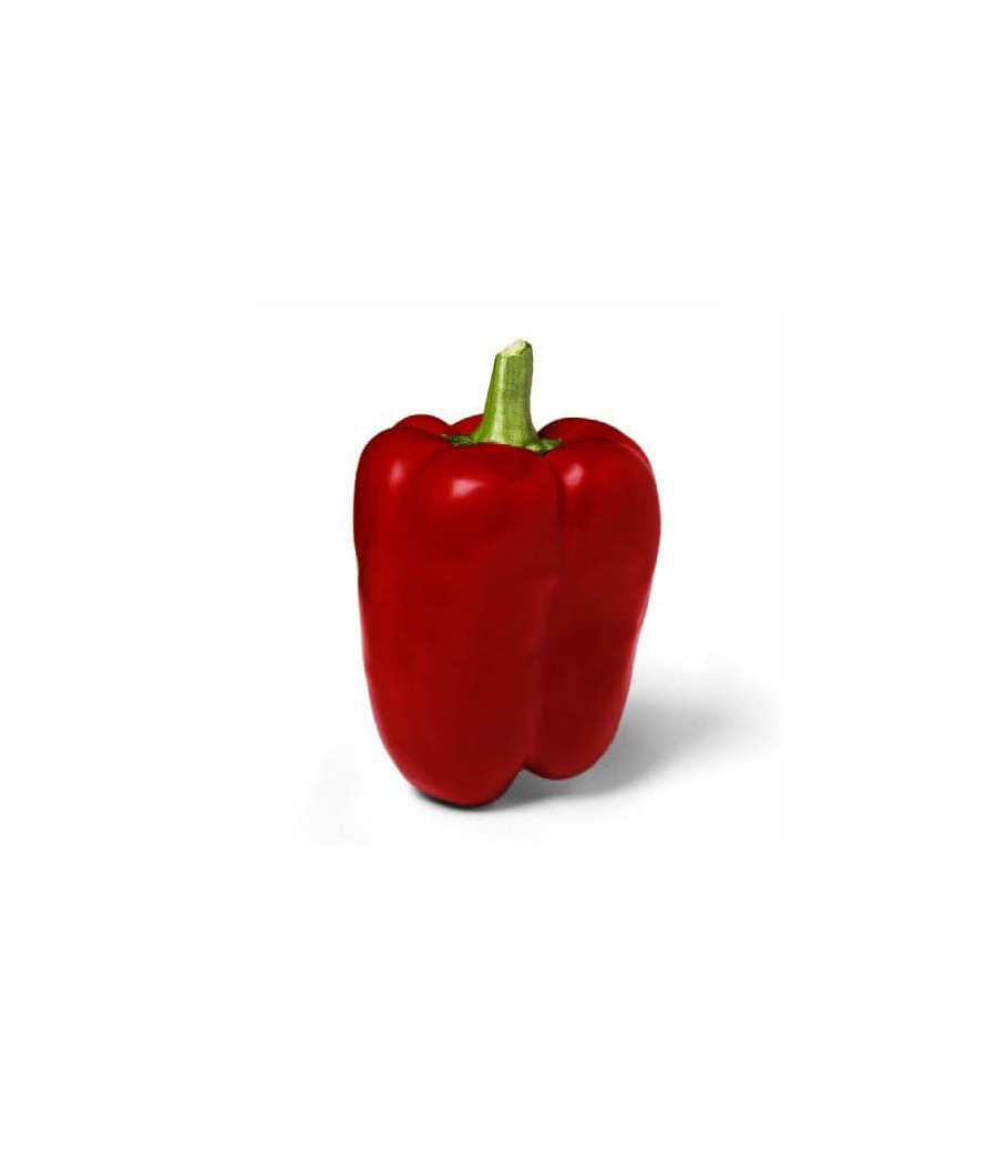 Pimento Grueso de Plaza