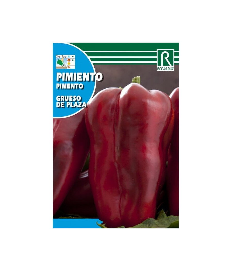 Pimento Grueso de Plaza
