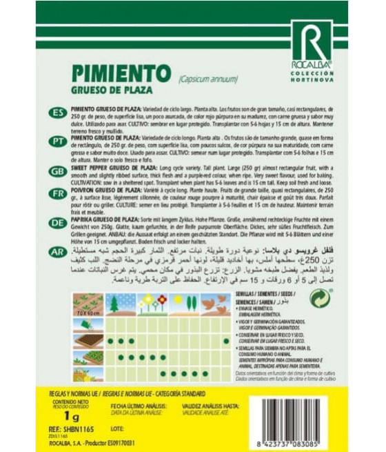 Pimento Grueso de Plaza