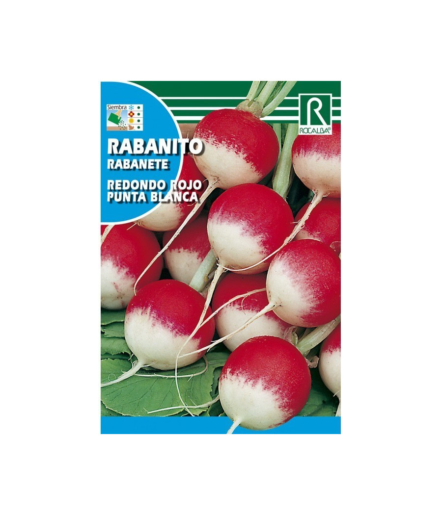 Rabanete Redondo Vermelho de Ponta Branca