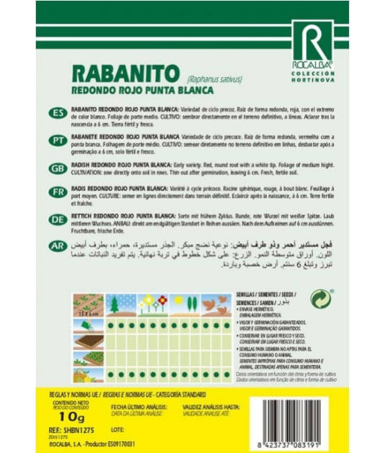 Rabanete Redondo Vermelho de Ponta Branca