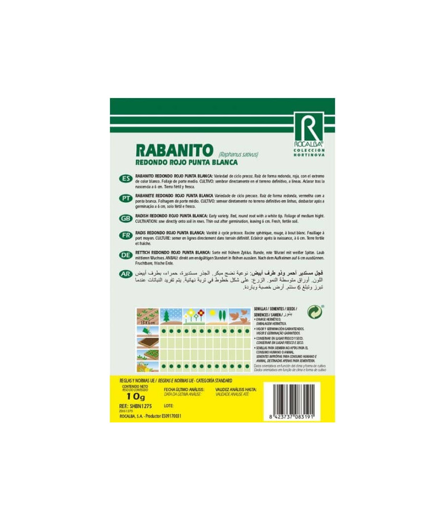 Rabanete Redondo Vermelho de Ponta Branca