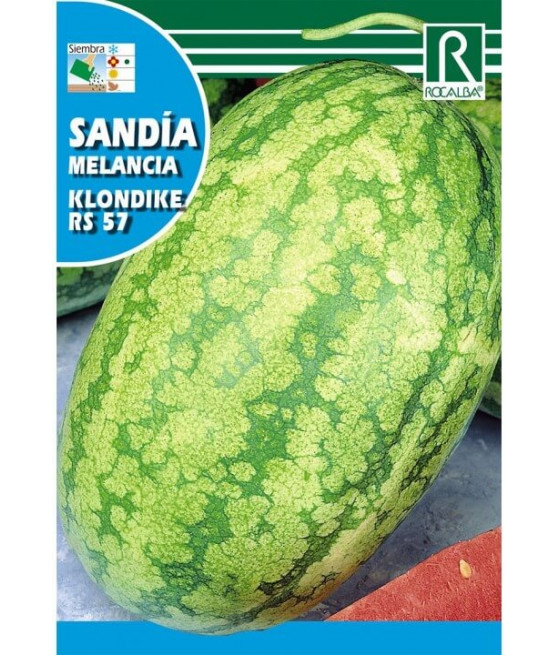 Melancia Klondike  RS 57