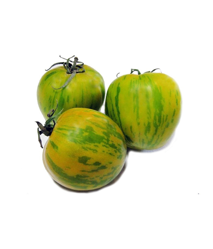 Tomate Green Zebra