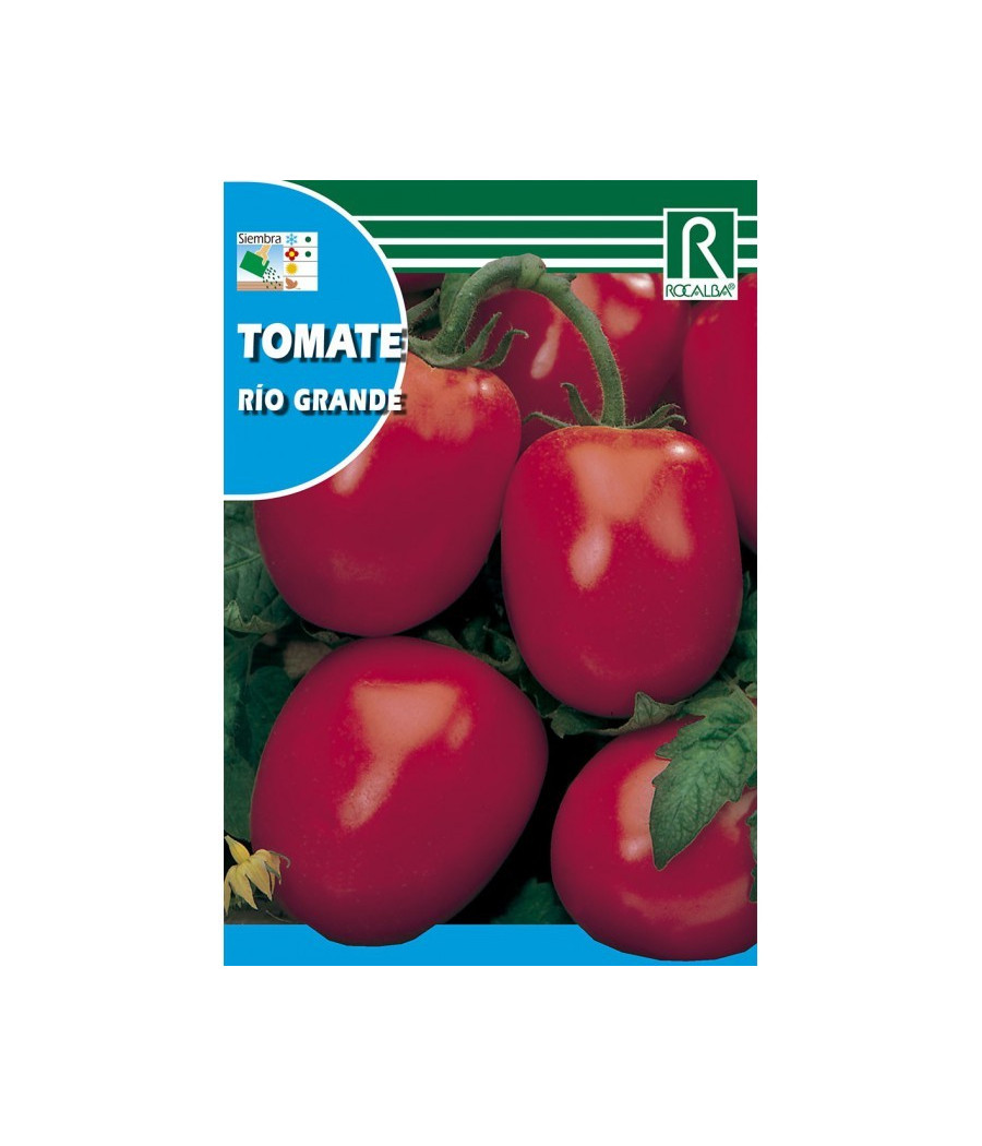 Tomate Rio Grande