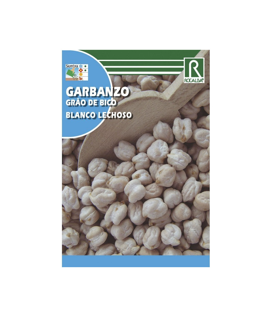 Grão de Bico Branco Leitoso
