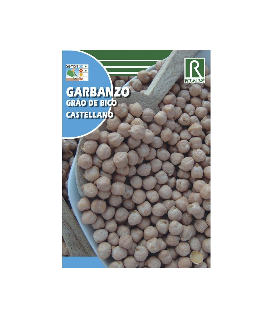 Grão de Bico Castelhano