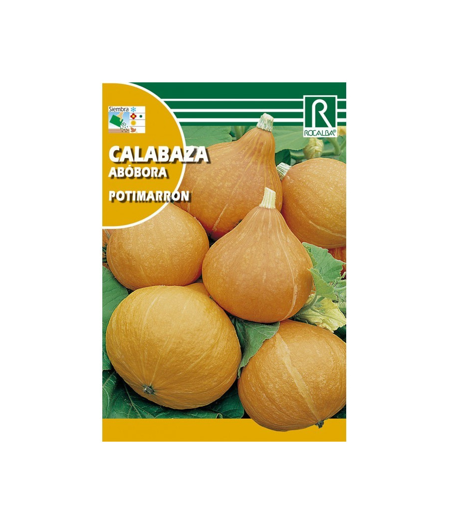 Abóbora Potimarron