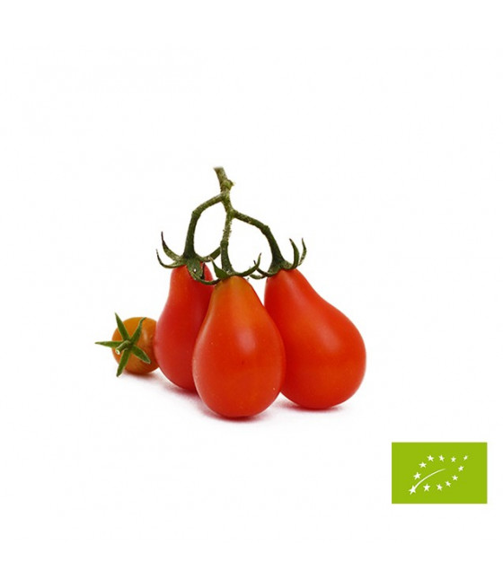 Tomate Red Pear
