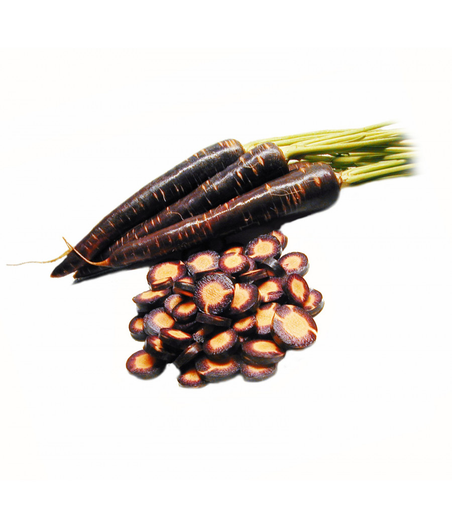 Cenoura Roxa Purple Haze F1