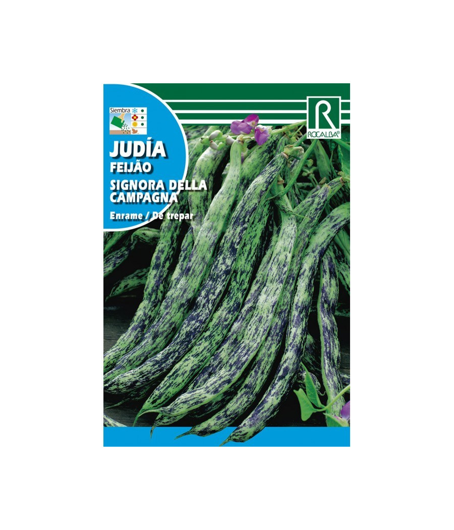 Feijão Signora della Campagna - Trepar