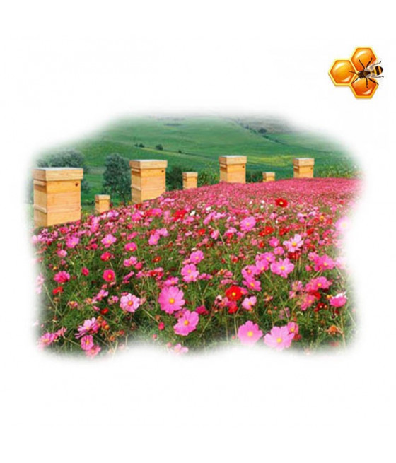 Mistura de Flores Meliferas - Fórmula Symphony