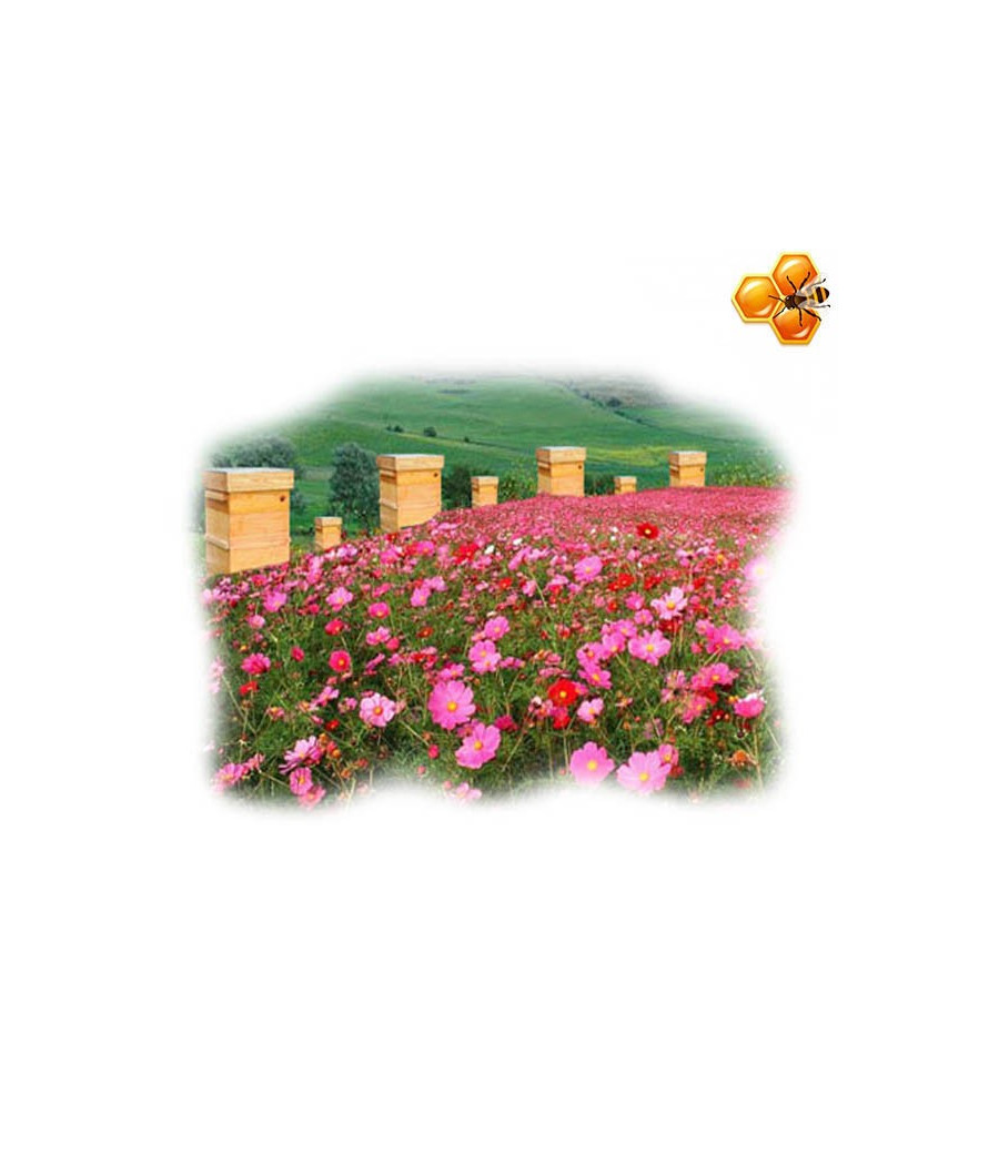 Mistura de Flores Meliferas - Fórmula Symphony