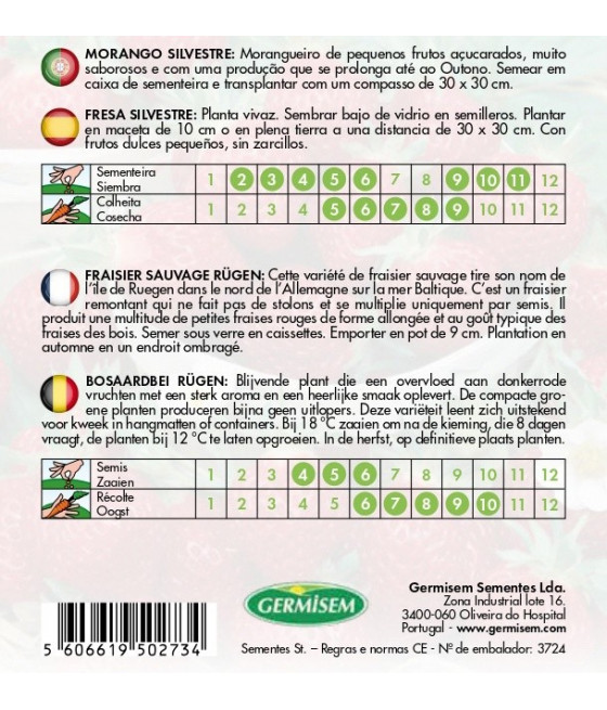 Morango Selvagem Rügen