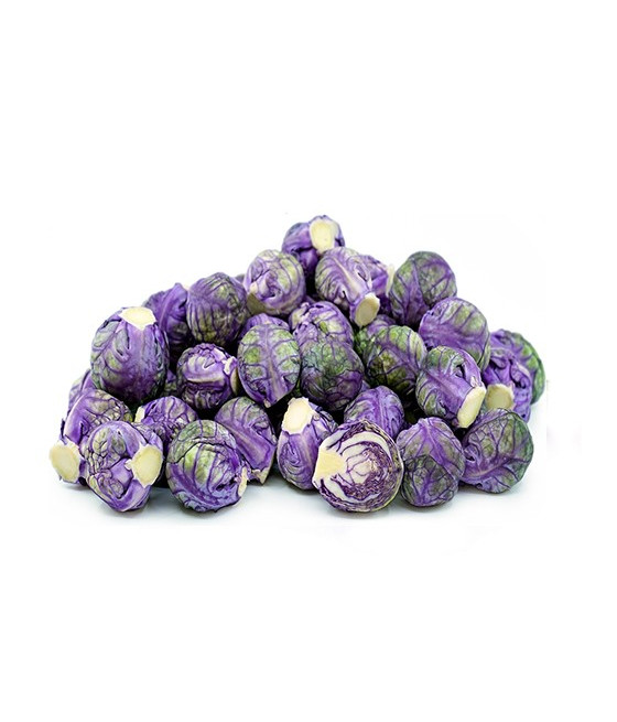 Couve de Bruxelas Roxa