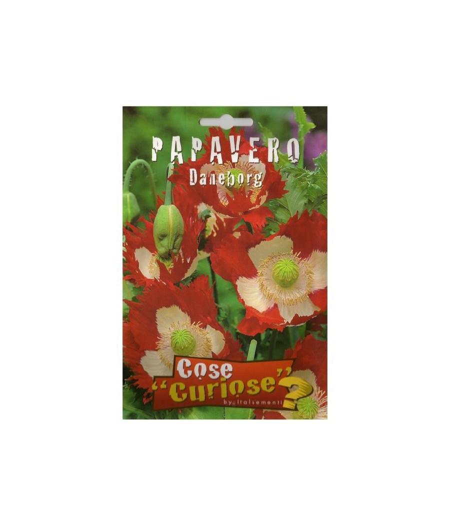 Papoila Bandeira da Dinamarca