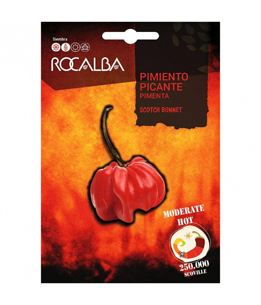 Pimenta Scotch Bonnet