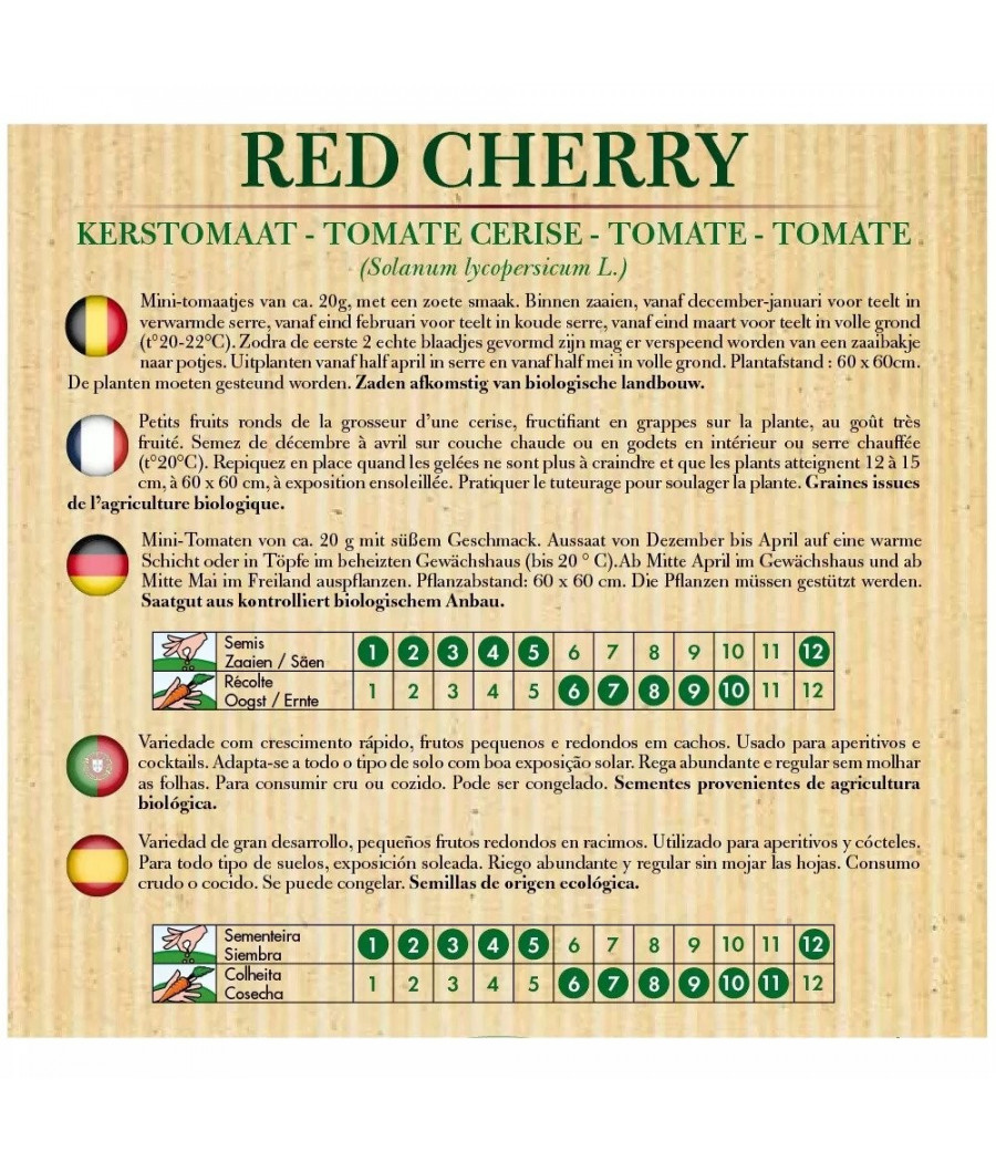 Tomate Red Cherry
