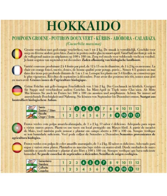 Abóbora Hokkaido Verde