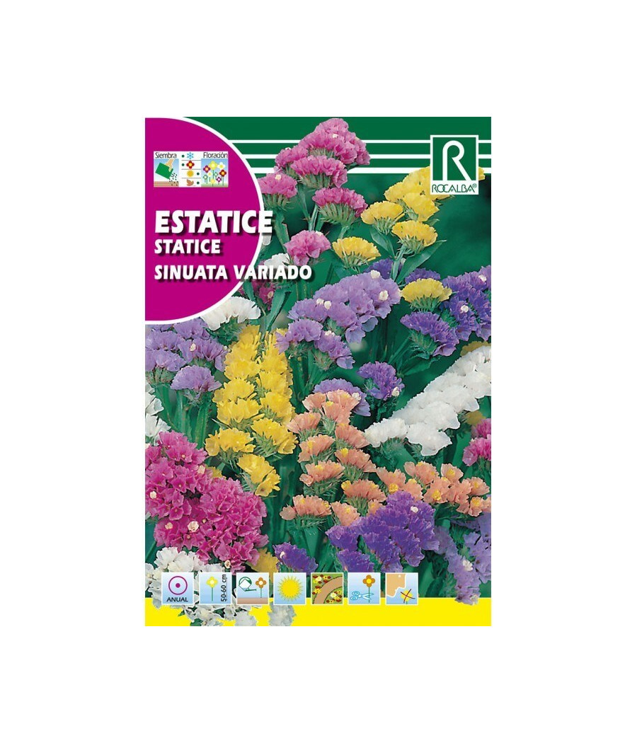 Statice Sinuata Mix