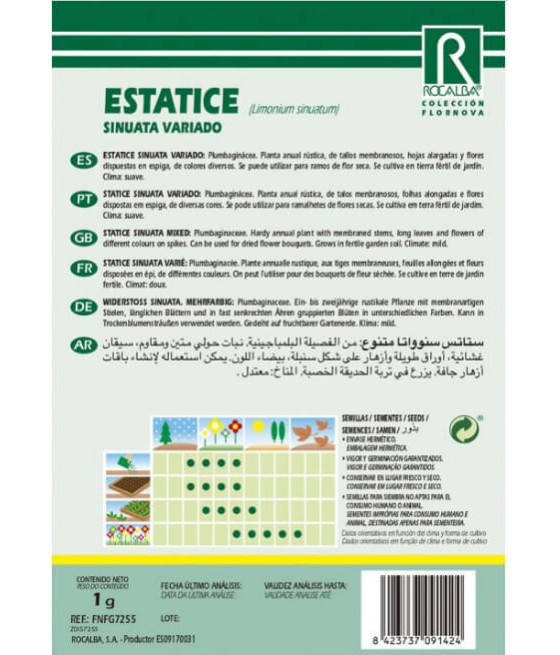 Statice Sinuata Mix