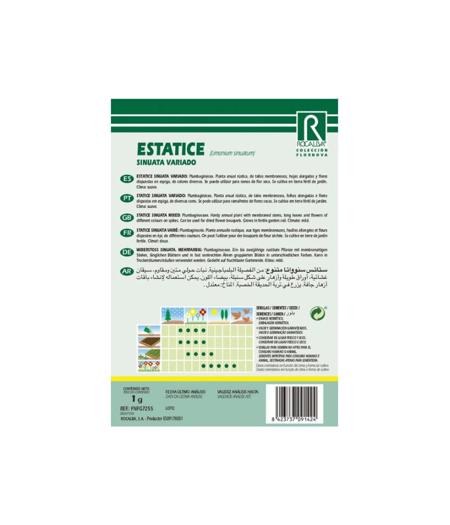Statice Sinuata Mix
