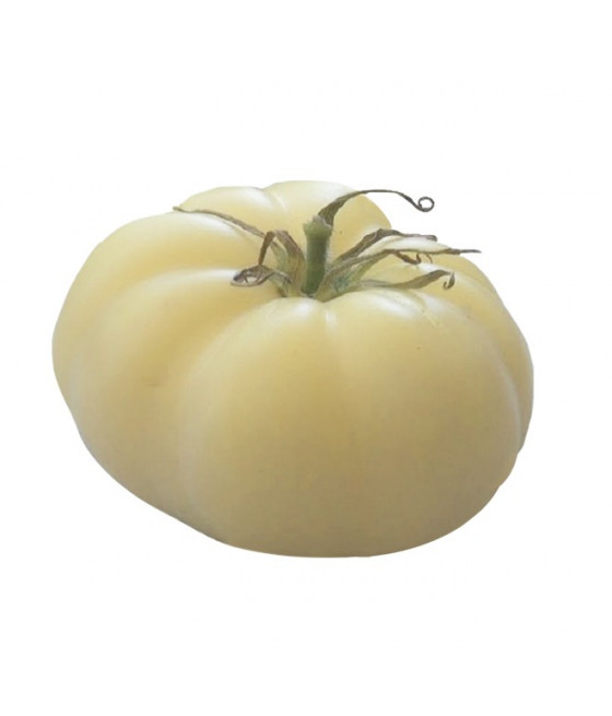 Tomate White Beauty