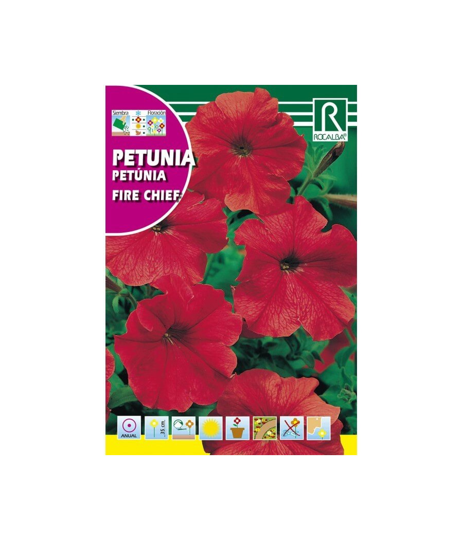 Petúnia Vermelha - Anã