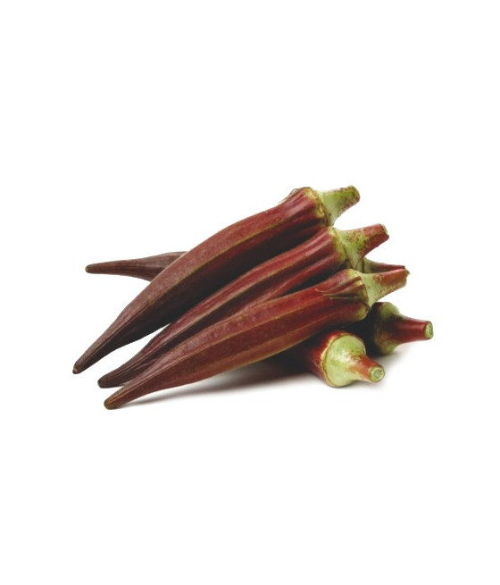 Quiabo Roxo Burgundy