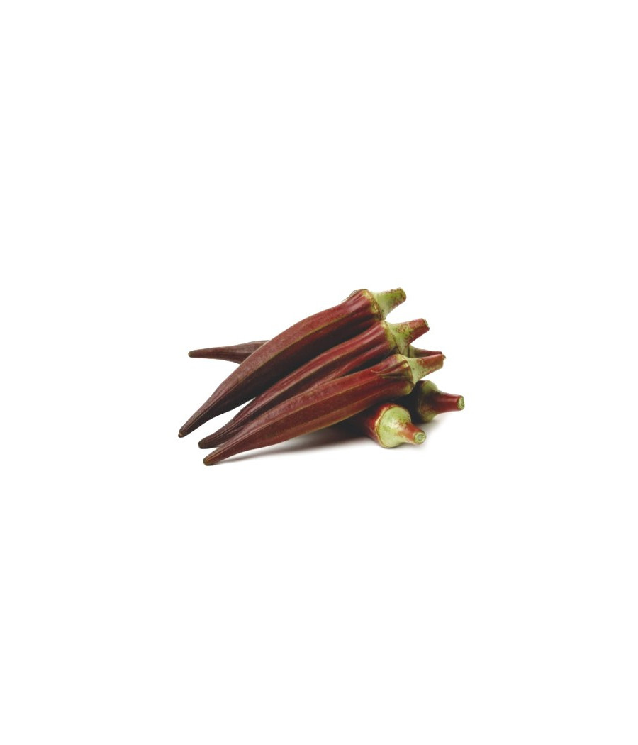 Quiabo Roxo Burgundy