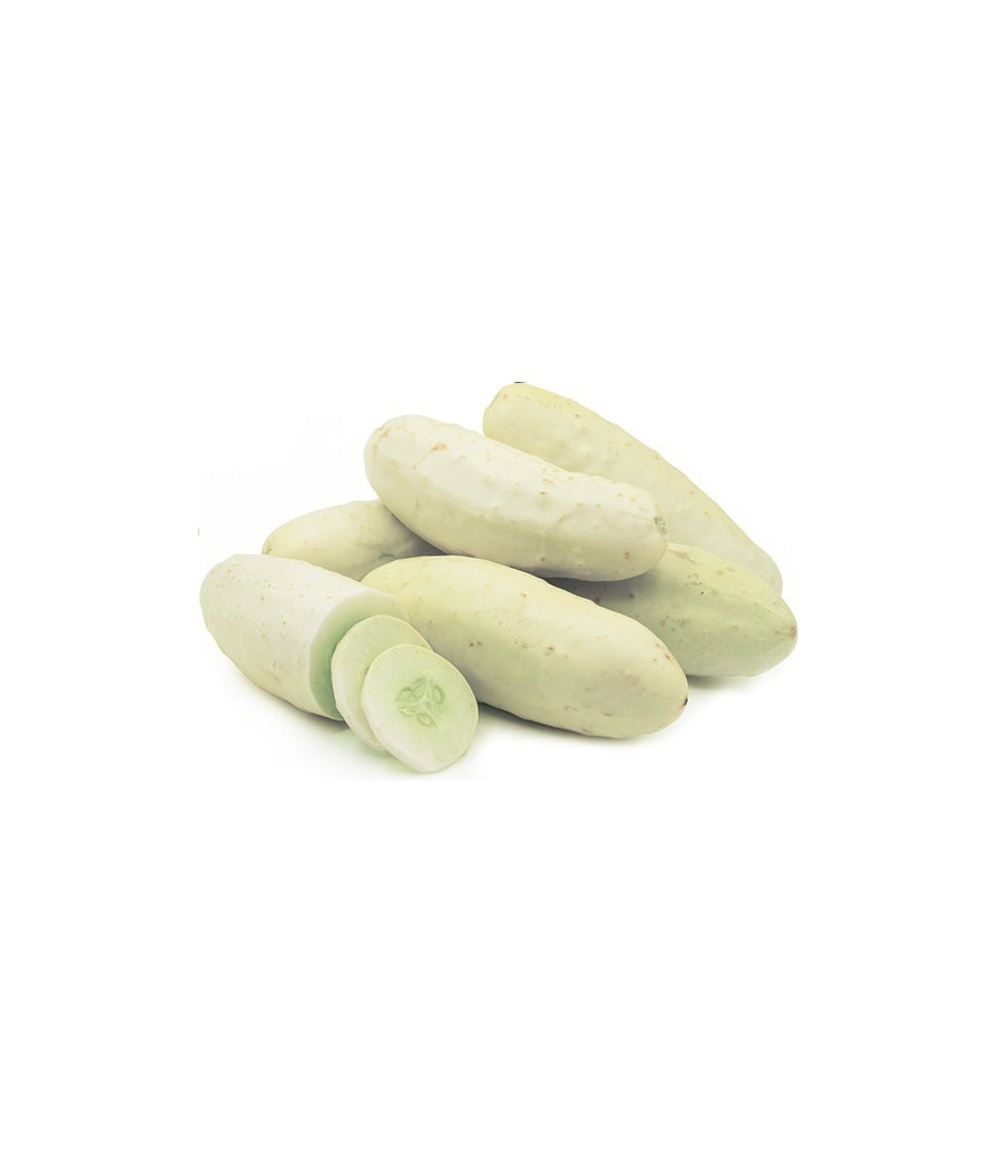 Pepino Branco Maravilha