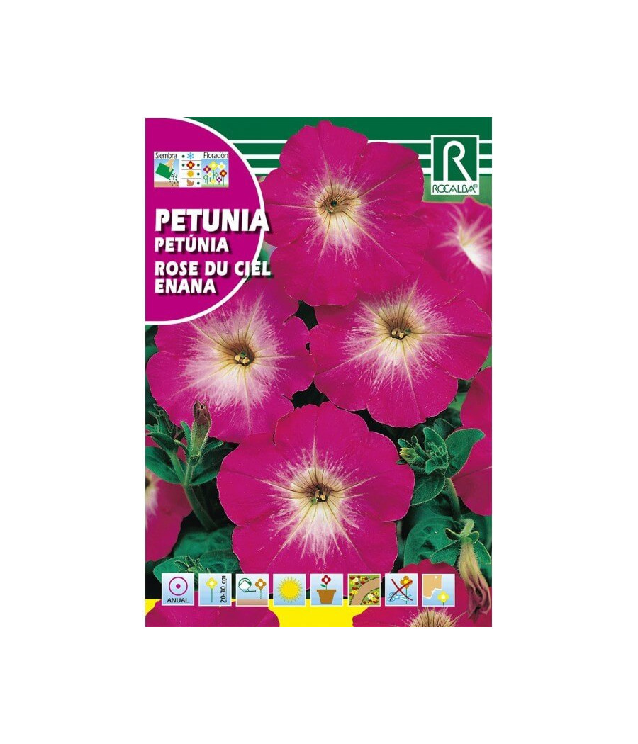 Petúnia Rosa  do Céu - Anã