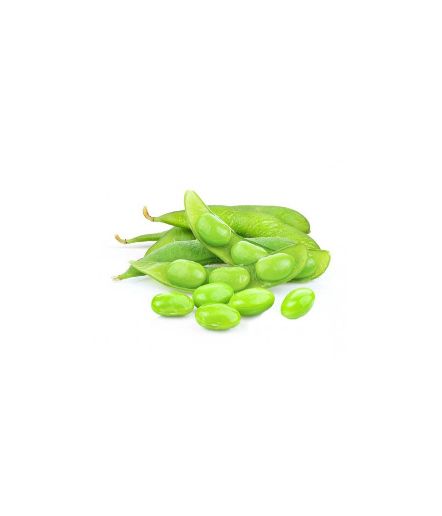 Sementes de Soja Verde Edamame