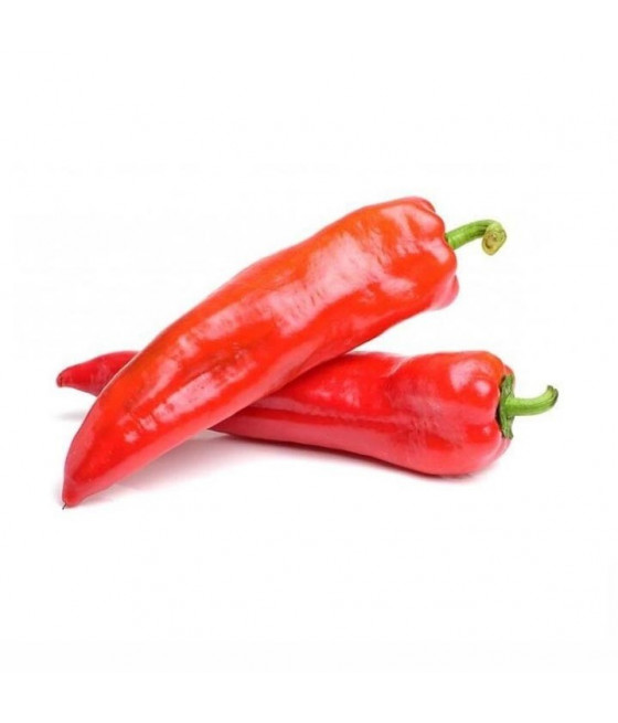 Sementes de Pimento Corno de Touro - Vermelho