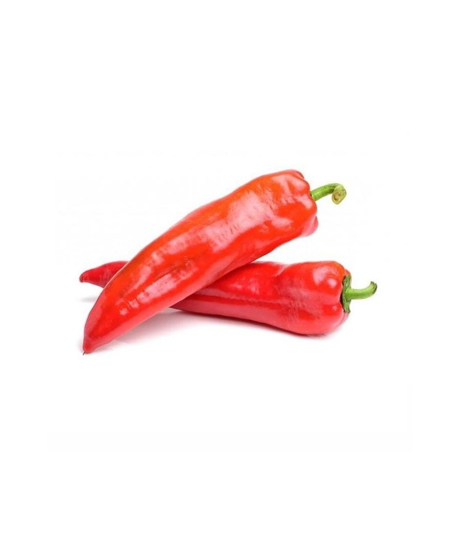 Sementes de Pimento Corno de Touro - Vermelho
