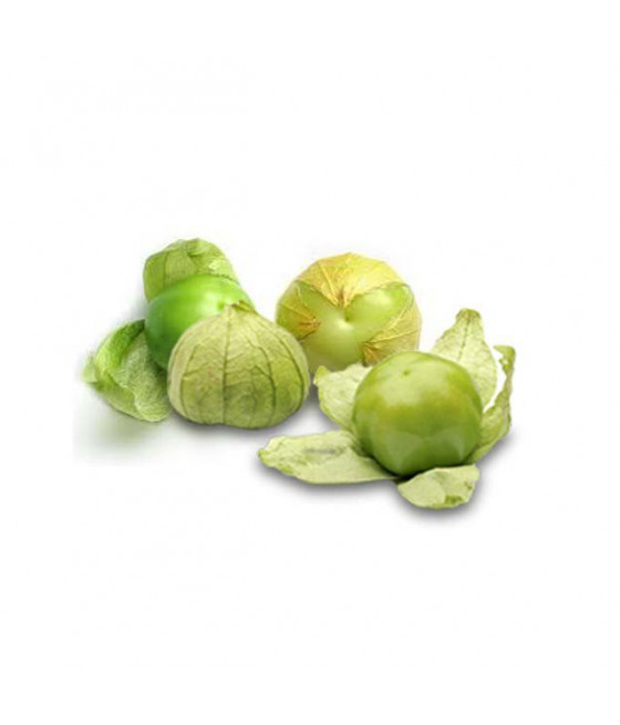 Physalis Verde - TOMATILLO