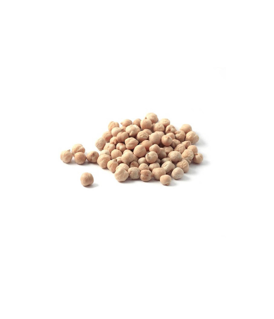 Sementes de Grão de Bico Castelhano